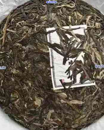 古树普洱茶饼全方位价格解析与比较，帮助你轻松选购品茗之选