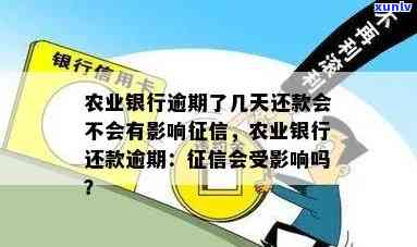 信用卡逾期几天不影响：农业银行政策解读