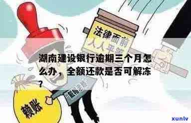 建设银行逾期三个月全额还款能否解冻？安全性如何？真的会上门吗？