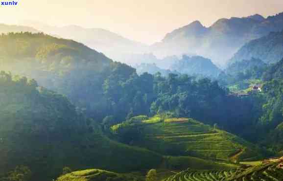 探索中国十大茶山：品味普洱茶的绝佳之地