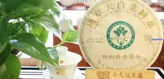 大益普洱茶新饼上市：小白菜品种独特，茶叶价格解析