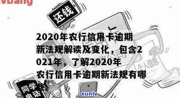 2021年农行信用卡逾期新法规：全解读与关键变化解析