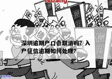 深圳入户逾期解决之道——信用资讯与申请影响分析