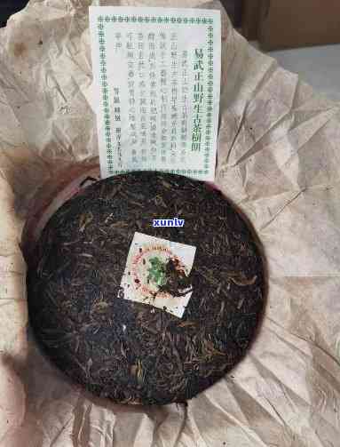 普洱茶易武青饼松德