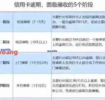 信用卡逾期费用全解析：如何避免额外支付、期罚息和信用损害