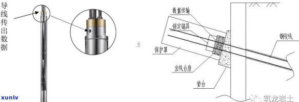 普洱茶中黄曲霉素的检测与研究： *** 、影响因素及安全性分析