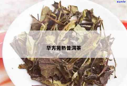 华方苑普洱茶保质期