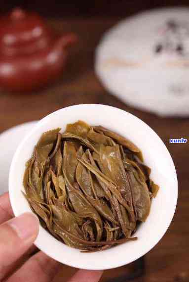 勐海茶厂精选大叶青饼：一款口感醇厚、回持久的普洱生茶佳品