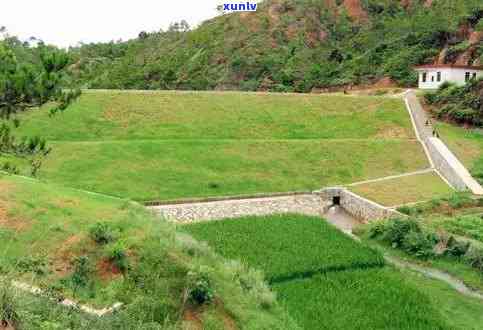 茂名购买翡翠原石市场及加工地点汇总