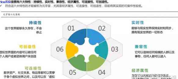 一叶悠扬：特色、产品评价与全貌探究