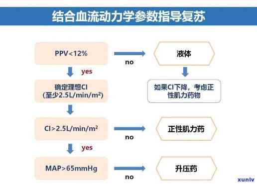 普洱熟茶中黄曲霉素含量及其对健的影响：安全性评估与策略