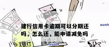 建行信用卡逾期如何减免