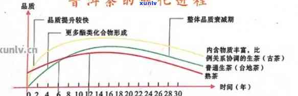 普洱茶的转化周期为几年：探究普洱茶的转化阶与速度