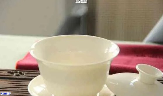 普洱茶可以用瓷杯