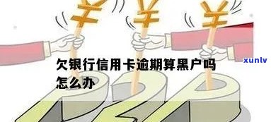 信用卡逾期后，黑户贷款的可行性及解决方案