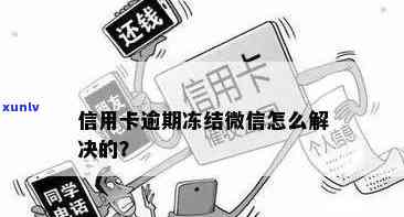 微信钱包被冻结？了解信用卡逾期还款解冻全攻略