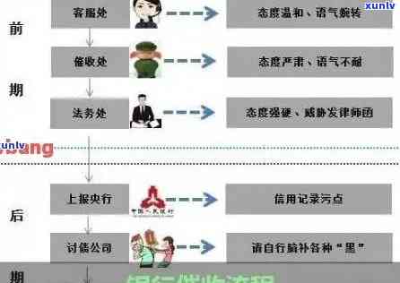 如何正确处理信用逾期问题：修复 *** 与真实性核查全解析