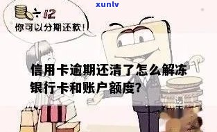 新已还清逾期信用卡账单，却遭遇冻结账户，如何解决？