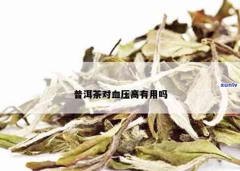 那普洱茶治血压高吗