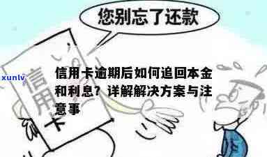 信用卡逾期本金结清后如何妥善处理？探索全面解决方案及注意事项