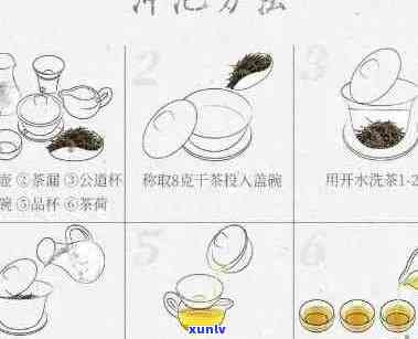 掌握普洱茶冲泡技巧：一次合适的克数与步骤分析