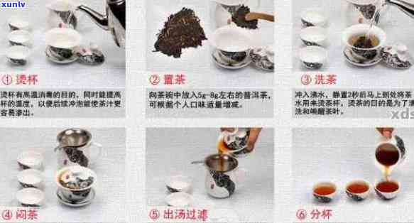 掌握普洱茶冲泡技巧：一次合适的克数与步骤分析