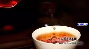 普洱茶一般多少克泡