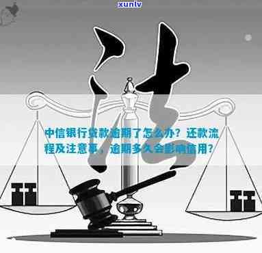 中信银行催还款：如何应对、解决办法及注意事项，让你的贷款问题一网打尽！