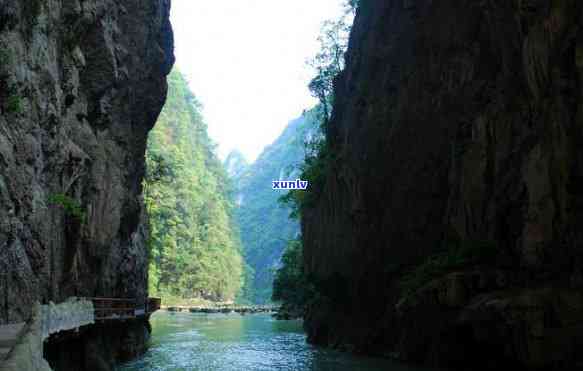 贵州绿宝石茶：一种独特的茶叶产地探索