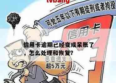 信用卡逾期呆账10万怎么办：还款方案与处理建议