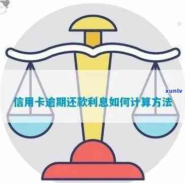 信用卡逾期利息追讨攻略：了解逾期利息计算与追回 *** 