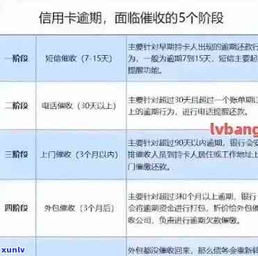 城县信用卡逾期相关问题全解答： *** 咨询、处理流程和影响分析