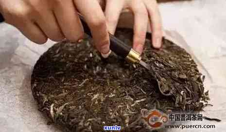 如何蒸普洱茶饼：掌握正确 *** ，让喝出的普洱茶更香醇