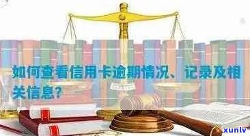 寻找全面解决方案：探索查询信用卡逾期记录的各类软件及相关功能