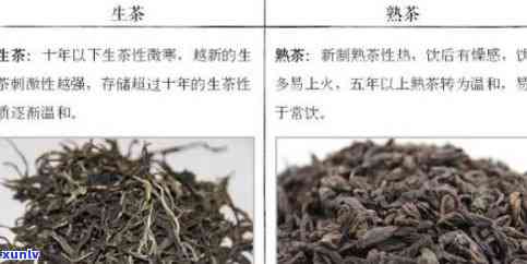 喝普洱茶缓解体寒吗？同时还有哪些好处和注意事项？