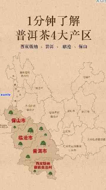 普洱茶产区的六大类别及其特点：全面了解普洱茶的产地与品质