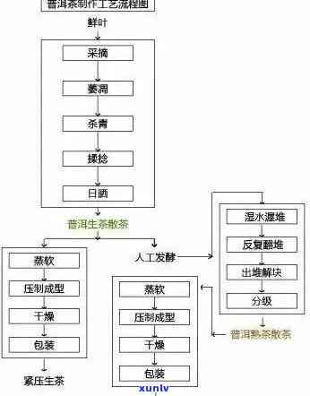 普洱茶：历渊源、品种分类、 *** 工艺与品鉴 *** 全面解析