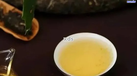 探索普洱茶的魅力：品质、功效、冲泡 *** 与品鉴技巧一网打尽