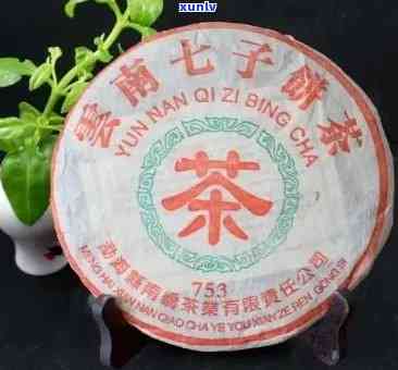 易天号普洱茶七子饼2008年易武价格