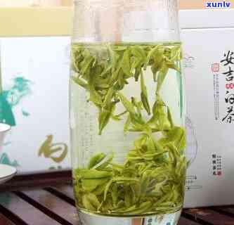 汇春茗白茶是安吉白茶吗？价格是多少？