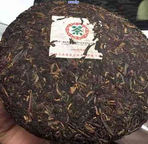 探究普洱茶饼十年陈化价值：多少钱一克？