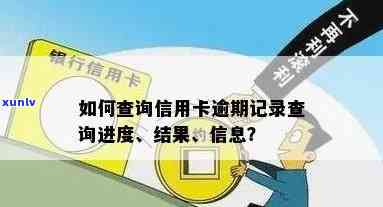 如何查信用卡逾期记录查询进度和结果？