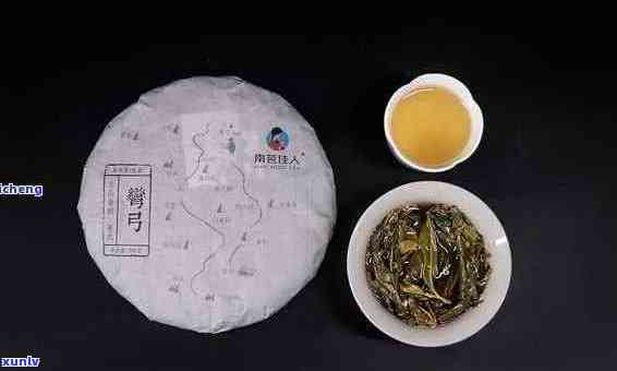 优质茶森普洱茶的魅力体验：一款令人醉的新茶品探索