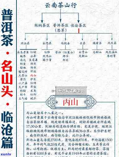 六大古茶山普洱茶的