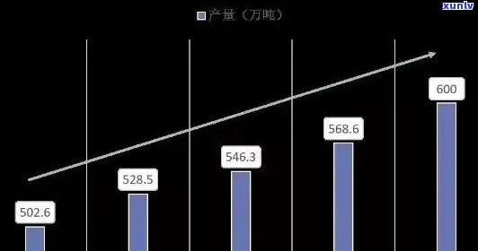 普洱茶总产量及排名，揭示市场潜力与生产现状。