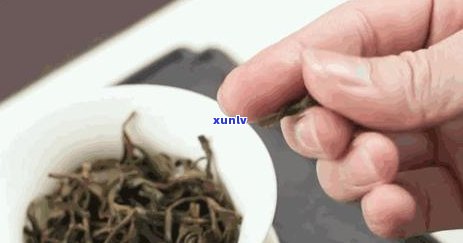 普洱茶外观鉴别与描述：如何从外观判断普洱茶的好坏及特点