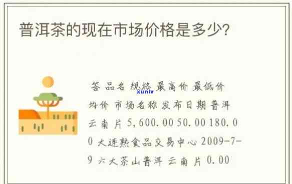 探索普洱茶拍卖：更高价录揭示，如何评估及购买优质普洱茶？