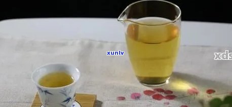 豆浆普洱茶一起喝吗：会上火、胖、中吗？