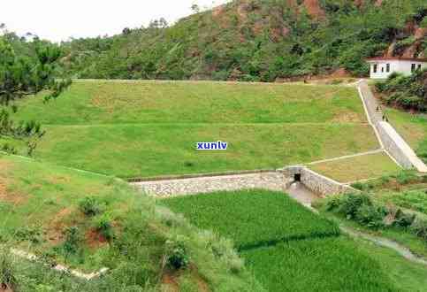 茂名挖出翡翠原石始末：真相揭秘与翡翠加工地点