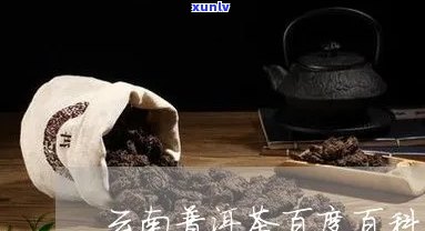 度娘普洱茶官方网站